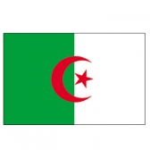 Algeria flags    High-Quality 2-ply Car Window Flag With Clip Attachment