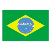 Brazil Flags     High-Quality 1-ply Car Window Flag With Clip Attachment