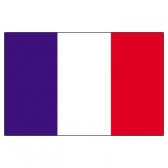 France Flags      High-Quality 1-ply Car Window Flag With Clip Attachment