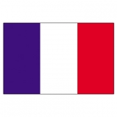 French Guiana Flags      High-Quality 1-ply Car Window Flag With Clip Attachment