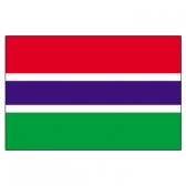 Gambia Flags      High-Quality 1-ply Car Window Flag With Clip Attachment