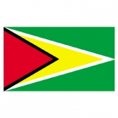 Guyana Flags      High-Quality 1-ply Car Window Flag With Clip Attachment