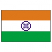 India Flags      High-Quality 1-ply Car Window Flag With Clip Attachment
