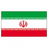 Iran Flags      High-Quality 1-ply Car Window Flag With Clip Attachment