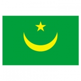 MauRitania Flags      High-Quality 1-ply Car Window Flag With Clip Attachment