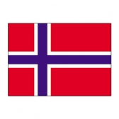 Norway Flags      High-Quality 1-ply Car Window Flag With Clip Attachment