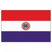 Paraguay  Flags      High-Quality 1-ply Car Window Flag With Clip Attachment