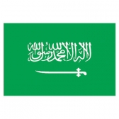 Saudi Arabia  Flags      High-Quality 1-ply Car Window Flag With Clip Attachment