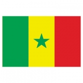 Senegal Flags      High-Quality 1-ply Car Window Flag With Clip Attachment