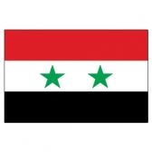 Syria  Flags      High-Quality 1-ply Car Window Flag With Clip Attachment
