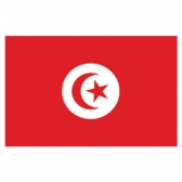 Tunisia  Flags      High-Quality 1-ply Car Window Flag With Clip Attachment