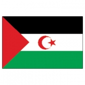 Western Sahara Flags      High-Quality 1-ply Car Window Flag With Clip Attachment