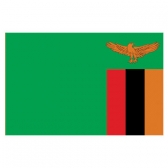 Zambia Flags      High-Quality 1-ply Car Window Flag With Clip Attachment